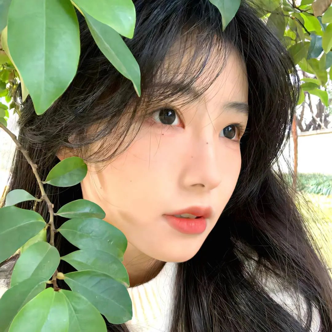 鱼之子